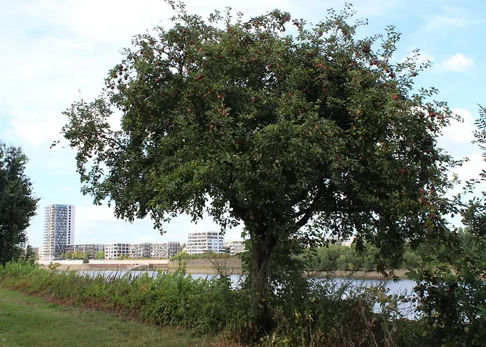 Modernes Loft-apartment, Nahe Weser, Bis 4 Pers * Bremen